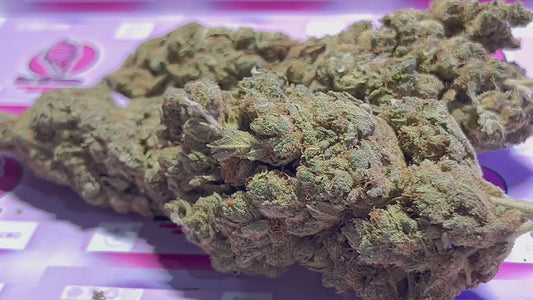 comprar cbd online