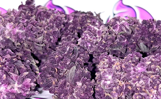 Genéticas de Cannabis Punteras y Novedosas: Las Mejores Variedades del Momento
